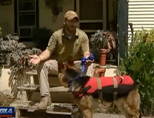 PTSD Marine and service dog denied at Walgreen’s